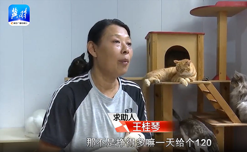 皇姿宠物助力“猫妈妈”王桂琴，捐赠千公斤宠粮共筑温暖家园