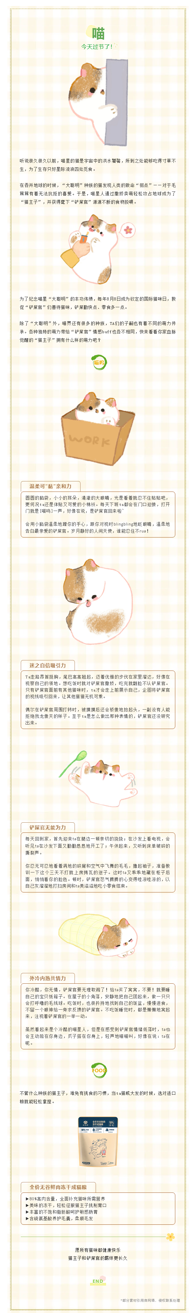 国际猫咪日|喵星人血脉觉醒，快来跟着皇姿了解你家猫咪自带什么buff